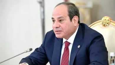 مَن هم خبراء الدولة المعينون بقرار رئاسي في برلمان 2026؟