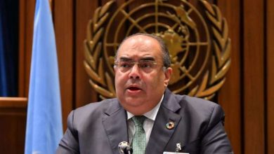 محمود محيي : الدين لا تنمية مستدامة بدون مؤسسات قوية